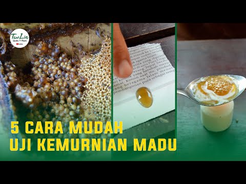 , title : 'Ini 5 Cara Mudah Mengetahui Kemurnian Madu'