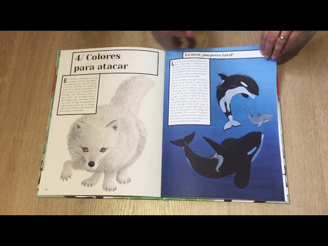 Vídeo relacionado con El Zoo De Colores