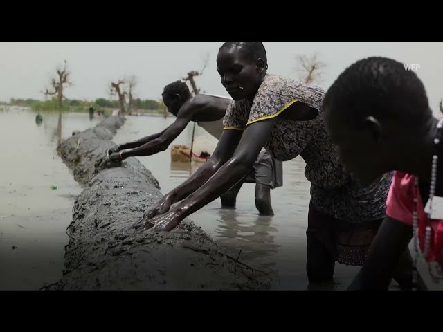 Journée des Nations Unies : le message du Secrétaire général