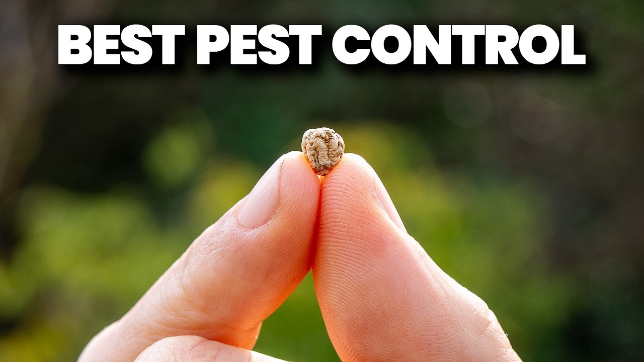 The Most Important Seed You'll Sow In Your Garden