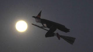 RC Flying Witch with Full Moon Rising by Otto Dieffenbach