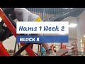 DVTV: Block 8 Hams 1 Wk 2