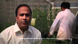 Download lagu UWA Research Excellence mp3 Download lagu UWA Research Excellence mp3