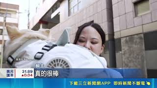 酷暑掀寵物降溫商機！日本推「風扇保冷衣」防中暑 飼主瘋搶買單｜三立財經iNEWS