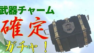 【WW2ガチャ】確定ガチャで出たチャームが個性的すぎる件！！