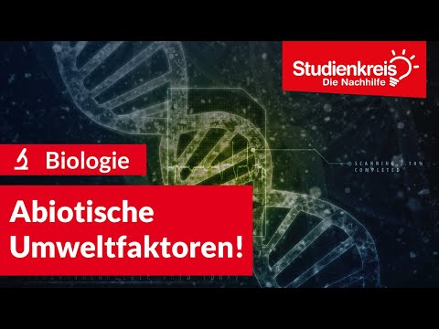Abiotische Umweltfaktoren! | Biologie verstehen mit dem Studienkreis