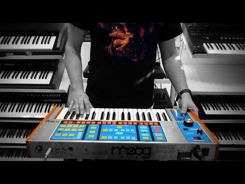 MOOG SOURCE Analog Synthesizer (1981) "Miscreant"