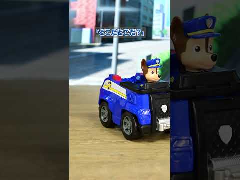 【パウ・パトロール】チェイス出動！パウっと解決！｜タカラトミー公式