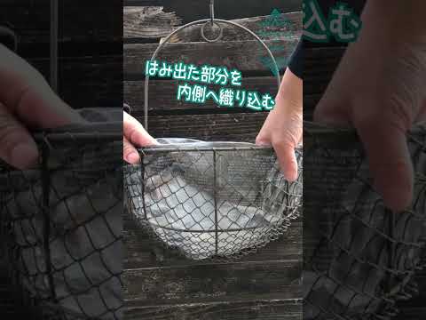 耐暑性フルサンプランター用のハンギングフラワーのアイデア  庭園