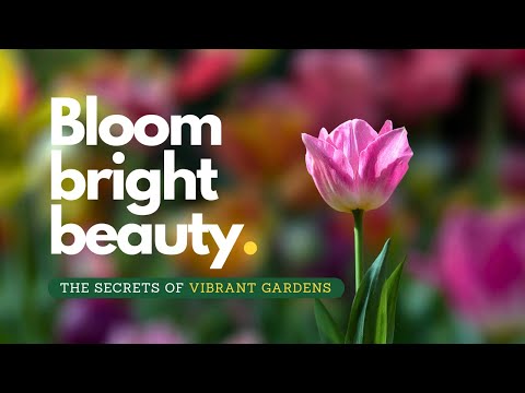 10 Stunningly Colorful Flowers to Transform Your Yard Into a Paradise