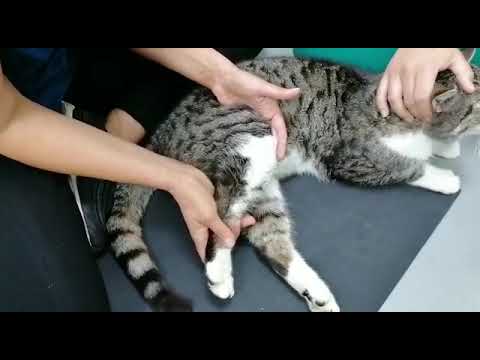 Passive range of motion