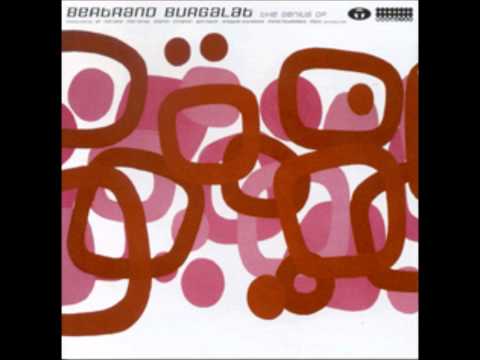 Bertrand Burgalat & Renegade Soundwave - Positive I.D.
