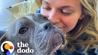 Neglected “Naked” Puppy Goes On A Shopping Spree | The Dodo