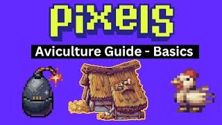 Aviculture Basics and Chicken Management - Pixels Online + 5 Chicken GIVEAWAY!!