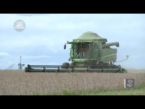 Preservação do Cerrado pode ser aliada da produção agrícola, dizem debatedores