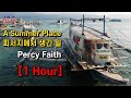 피서지에서 생긴 일 퍼시 페이스 악단 A Summer Place Percy Faith Orchestra 1시간 연�