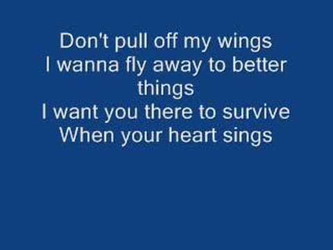 Video thumbnail for Don’t Pull Off My Wings