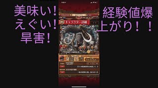 【トレクル】えぐすぎる経験値！！！！【ぬま】