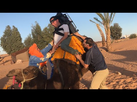 ACCESSIBLE Camel Saddle - A World 1st! (Never Done Before Ride In Sahara Desert Morocco)