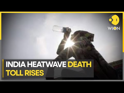 Deadly heatwave in  India, death toll rises | WION Climate Tracker