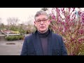 Oproep wethouder Kees van Velzen: blijf planten kopen