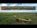 5 Unique Photo Opportunity In Ngorongoro Crater Tanzania From A Wildlife Photographer S Perspective