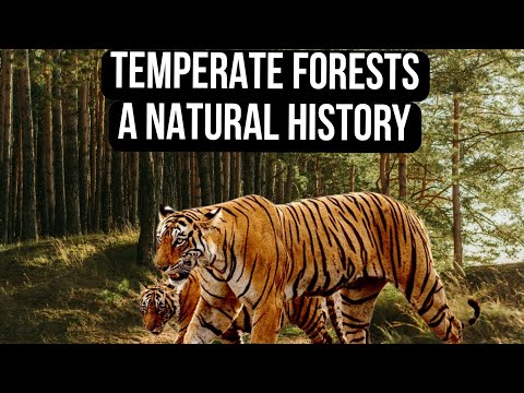 Temperate Forests A Natural History Part 1 (Biology Ecology and Life)