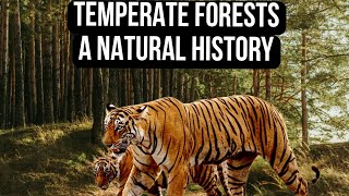 Temperate Forests A Natural History Part 1 (Biology Ecology and Life)