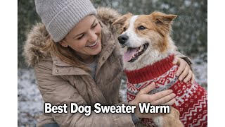 🐶 Lorehelina Dog Sweaters for Small Dogs Winter Turtleneck Review: Worth It for Winter? 🧣