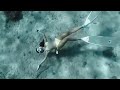 This Is Try Bubble Ring Underwater