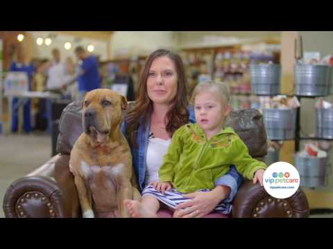 VIP Petcare - Holiday Promotion - Free Month of Nexgard! (30)