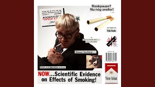 Cover art for Rookpauze 2