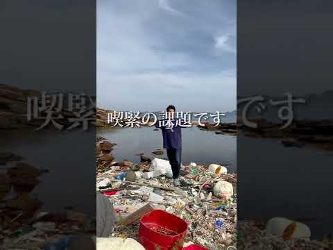 プラスチック廃棄物がミジンコの鎧を奪う