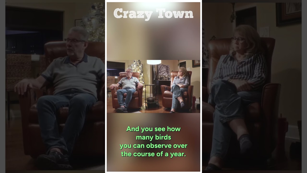 Competitive Birding: Crazy Town Clip