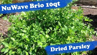 NuWave Brio 10 qt Air Fryer - Dried Parsley