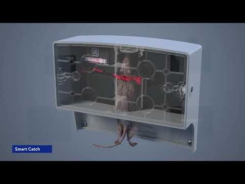 Anticimex SMART - Catch - Die intelligente Einzelschlagfalle
