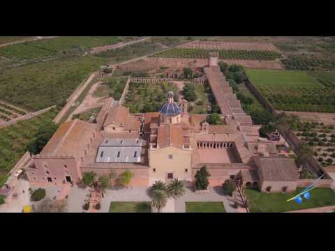 Videos from Apex Drones