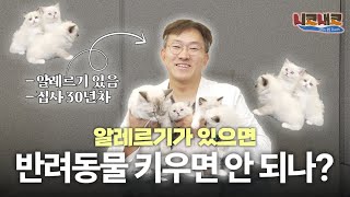 알러지 있는 내가 집사가 되어도 되는걸까? ㅣ👃🏻니코내코 EP.25