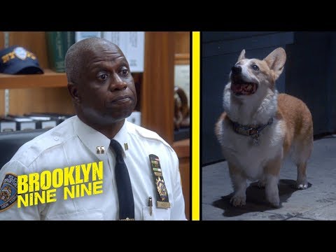 Holt And Cheddar A Dynamic Duo | Brooklyn Nine-Nine