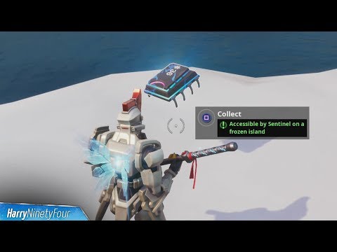 Esport Fortnite Belgique