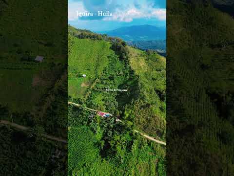 un cafe en iquira huila