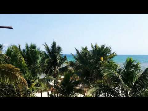 Cocoa Beach Club Playa del Carmen.