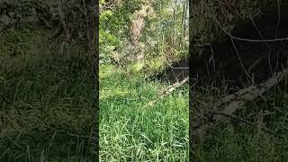 Download lagu June 10, 2023 mp3