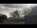 Michael McDermott - Meadowlark