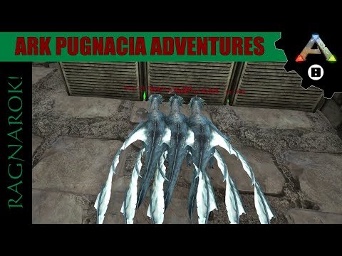 ARK Pugnacia Ragnarok Adventures - Triplet Ice Wyvern Hatch!