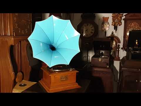 Where The Dog Sits On the Tucker Box. Jim Davidson's Dandies. Regal Zonophone 78rpm. Horn Gramophone