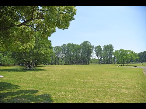 動画サムネイル