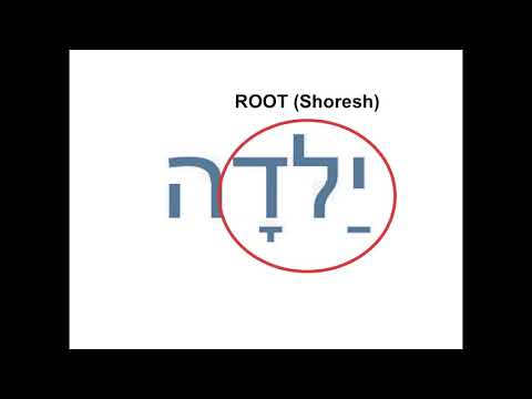 Hebrew Lesson 12 Lamed - Jim Becka
