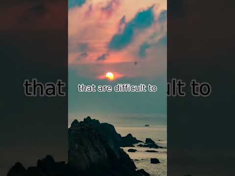 Can You Recycle Dog Food Bags? Let's Find Out!