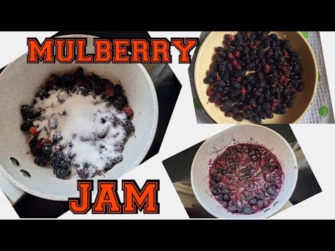 HOW TO MAKE MULBERRY JAM - ONLY 3 INGREDIENTS 